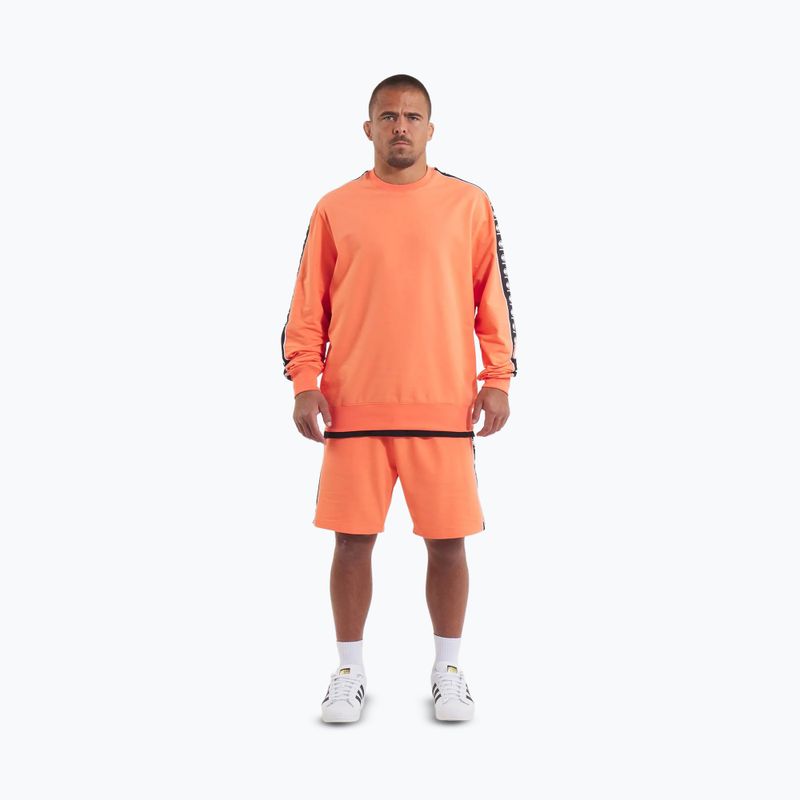 Мъжки суитшърт Pitbull Tape Nugget Crewneck Bright Salmon 2