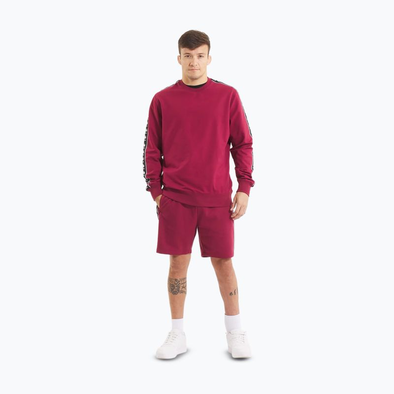 Мъжки суитшърт Pitbull Tape Nugget Crewneck burgundy 2