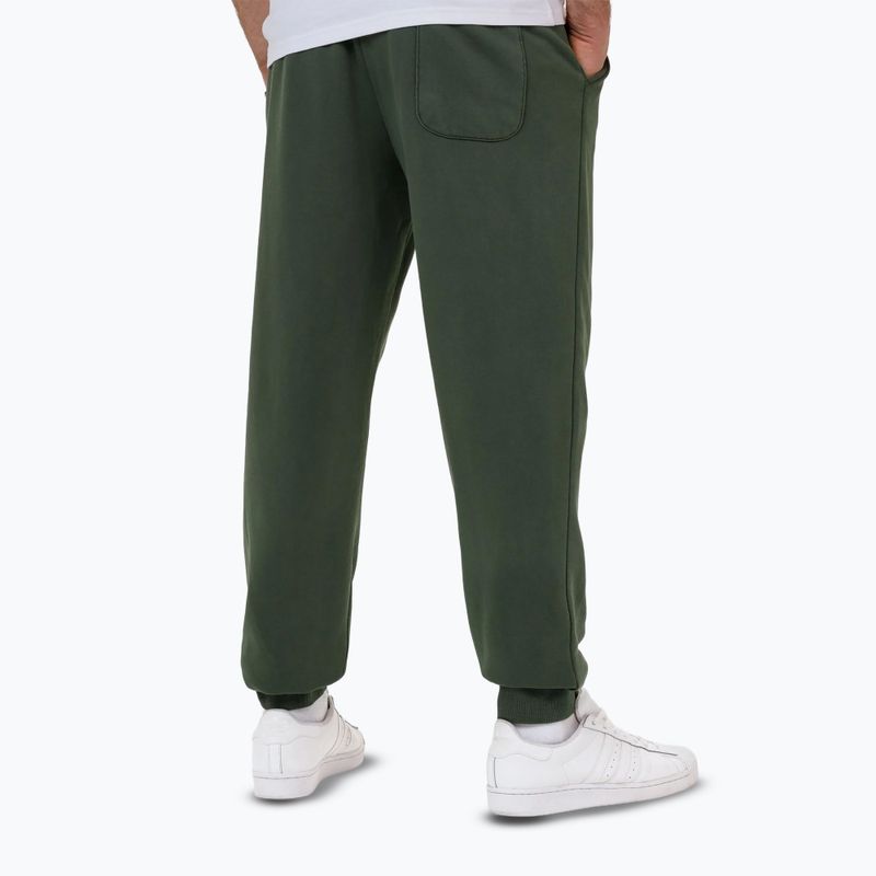 Мъжки спортни панталони Pitbull Lancaster 2 sage green 2