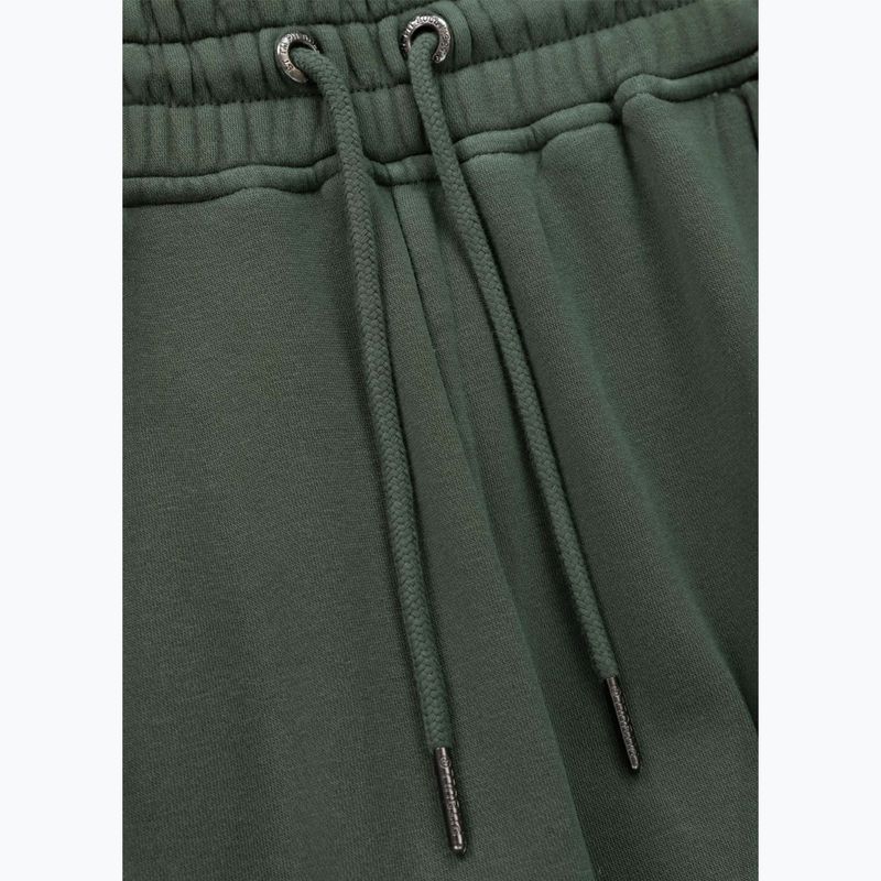 Мъжки спортни панталони Pitbull Lancaster 2 sage green 6
