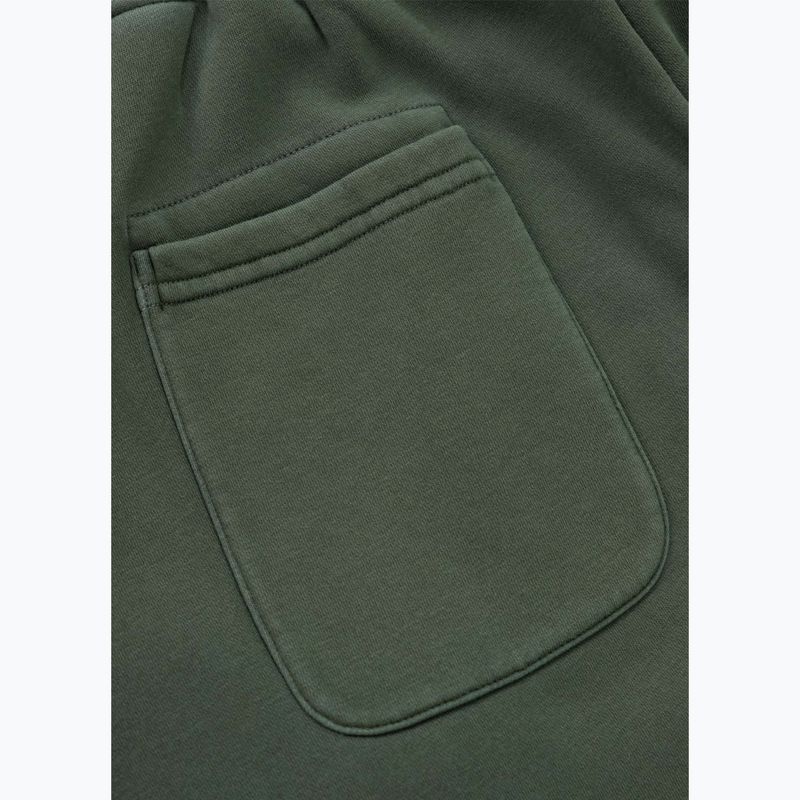 Мъжки спортни панталони Pitbull Lancaster 2 sage green 9