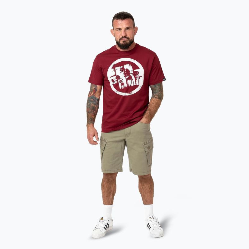 Мъжка тениска Pitbull Logo Palms burgundy 2