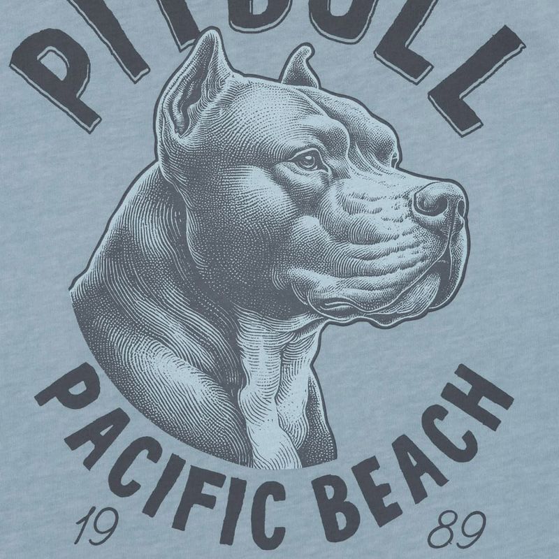 Мъжка тениска Pitbull Pacific Blue 5