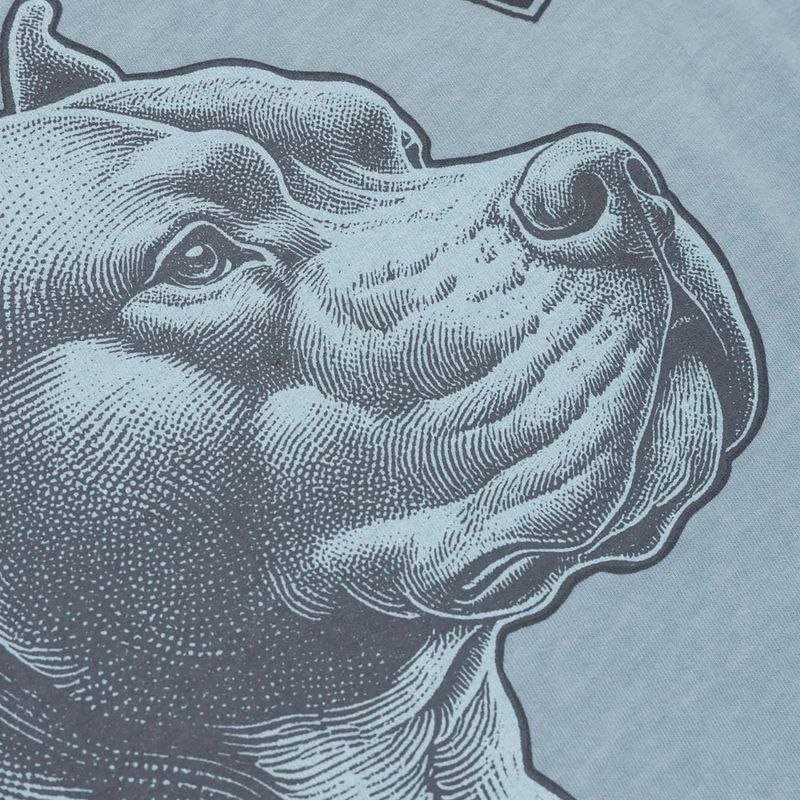 Мъжка тениска Pitbull Pacific Blue 6