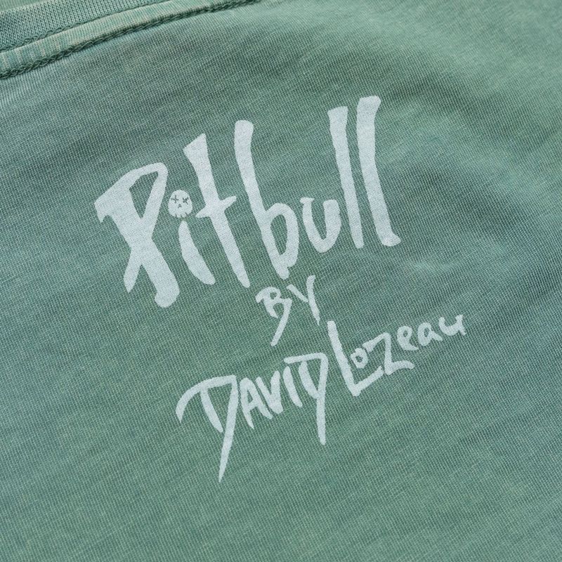 Pitbull Cruisinandboozin дамска тениска мента 7