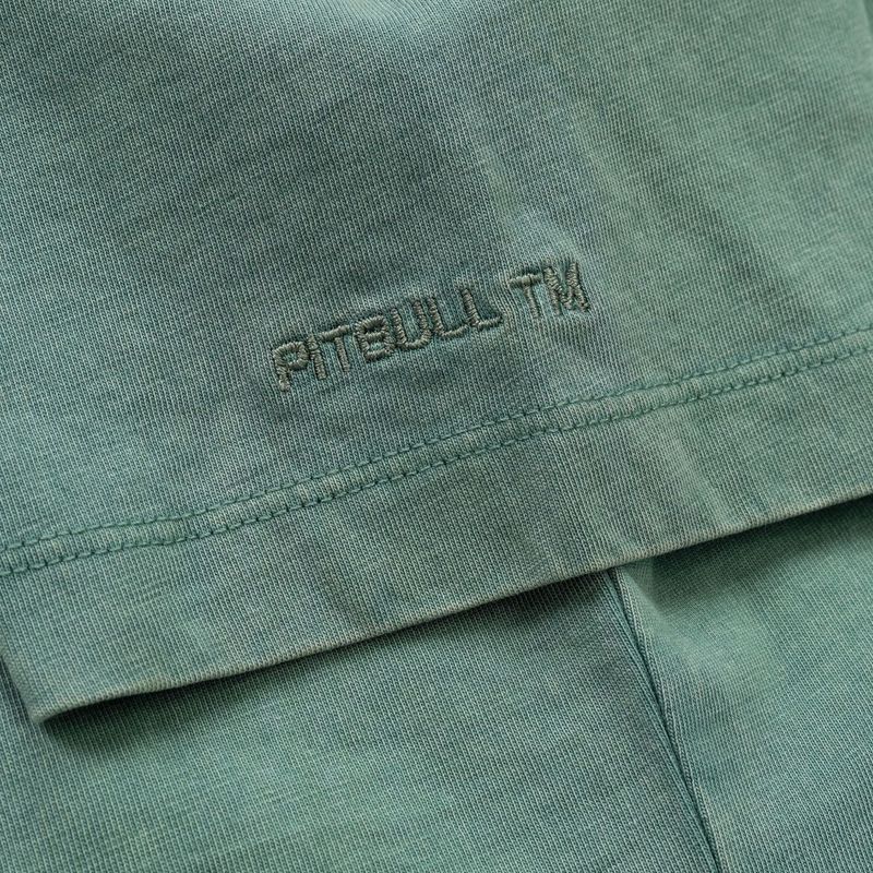 Pitbull Cruisinandboozin дамска тениска мента 8