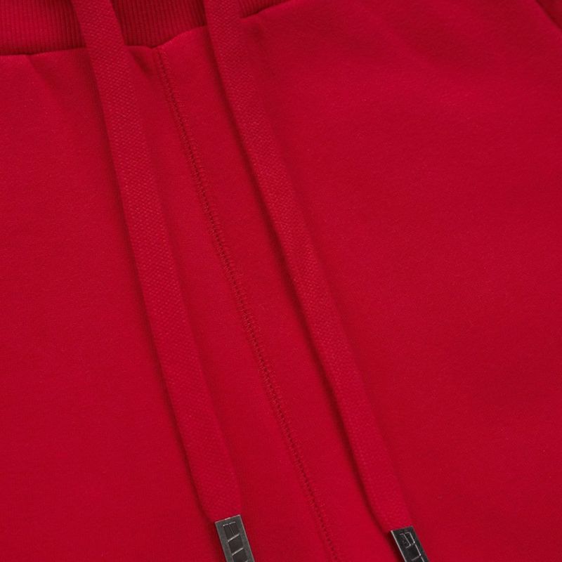 Мъжки панталони Pitbull Small Logo HD Track red 7