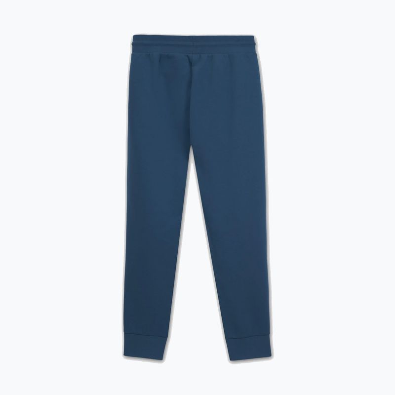 Мъжки панталони Pitbull Sampson Track Pants petrol blue 5