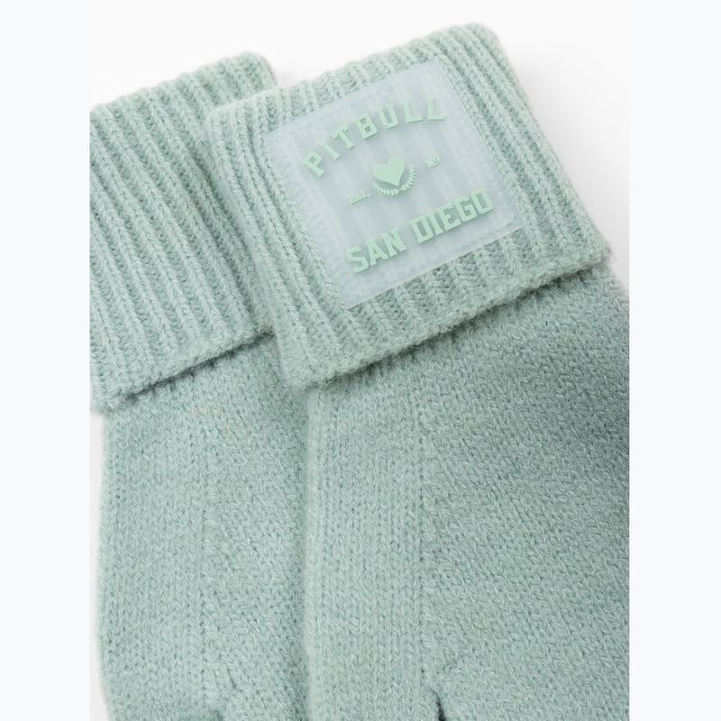 Ръкавици Pitbull Love PB light mint 2