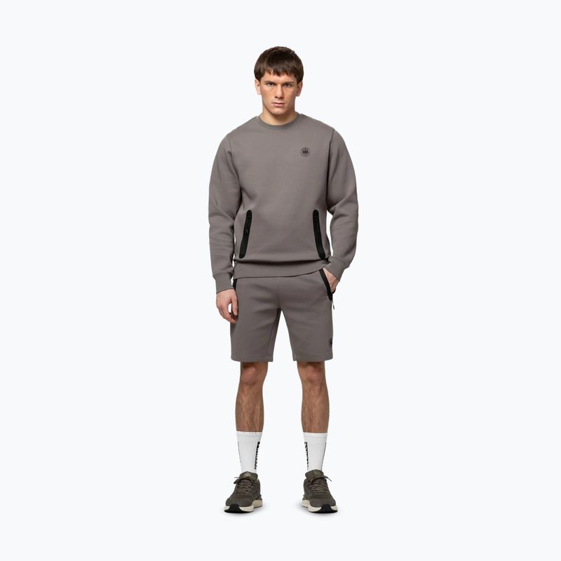 Мъжки суитшърт Pitbull Dogwood Crewneck Sweatshirt taupe 2