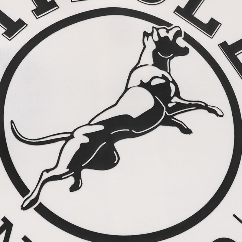 Мъжки суитшърт Pitbull Track Jacket San Diego 8