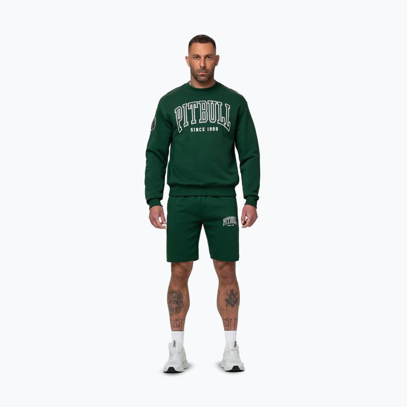 Мъжки суитшърт Pitbull Badger Crewneck hunter/green 2