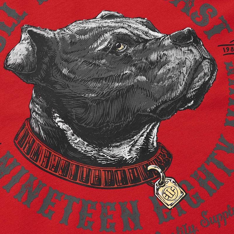 Мъжки суитшърт Pitbull Strenght & Respect Sweatshirt Hooded red 9