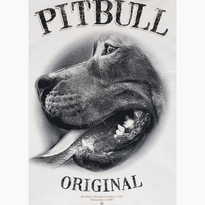 Мъжки суитшърт Pitbull Midnight Sweatshirt Hooded off white 9