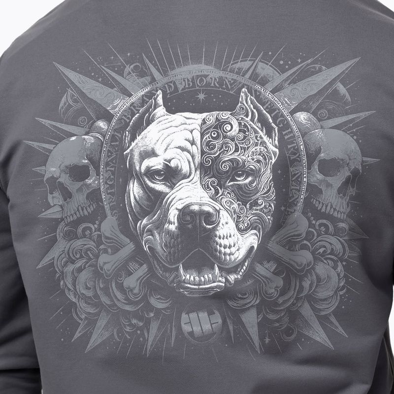 Мъжки суитшърт Pitbull World Sweatshirt Zip Hooded graphite 5