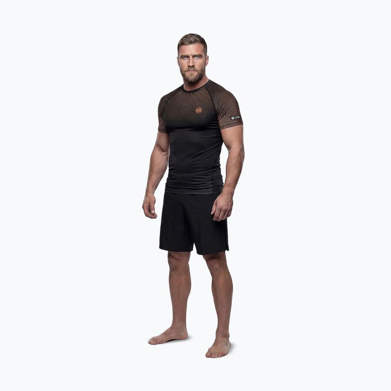 Мъжки рашгард Pitbull Belt Rashguard brown 2