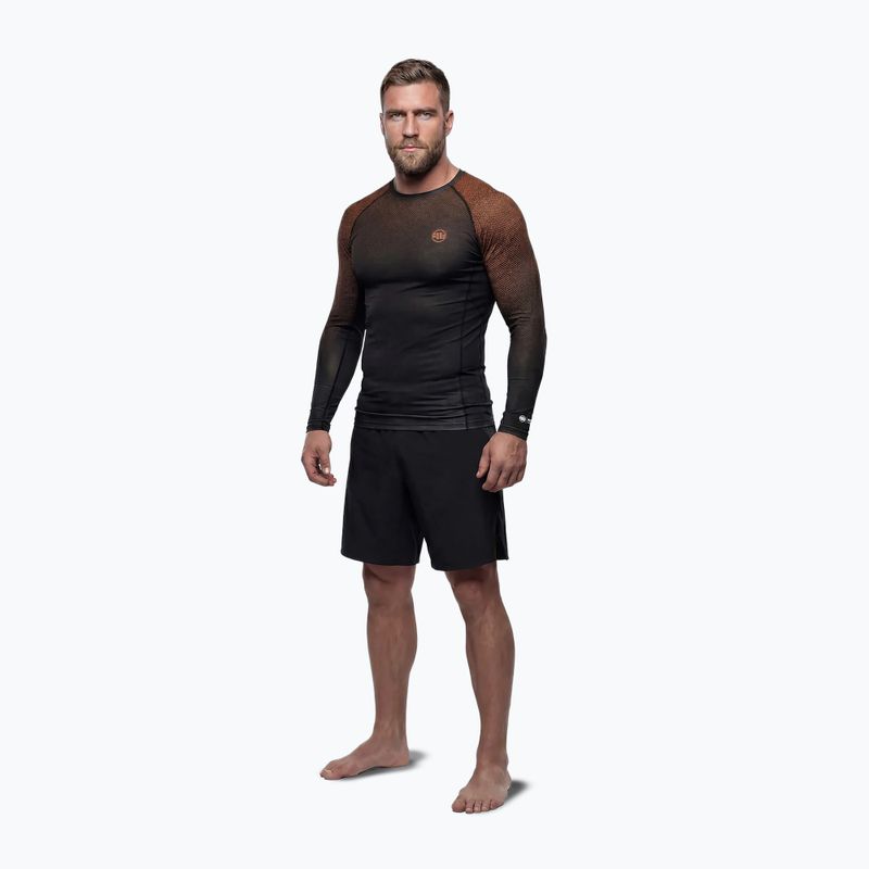Мъжка блуза с дълъг ръкав за водни спортове Pitbull Belt Rashguard brown 2
