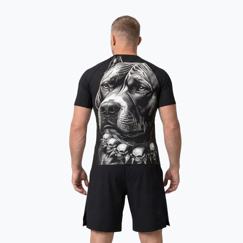 Мъжки рашгард Pitbull Blacky Rashguard black 3