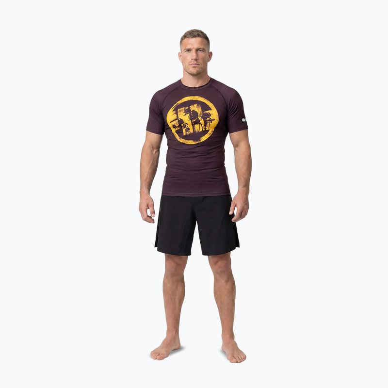 Мъжка тениска Pitbull Rashguard Logo Palms brown 2