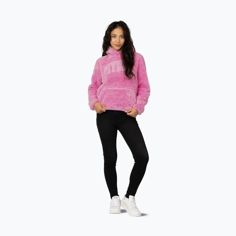 Дамски суитшърт Pitbull Aragona Norton Hooded dark chocolate 2