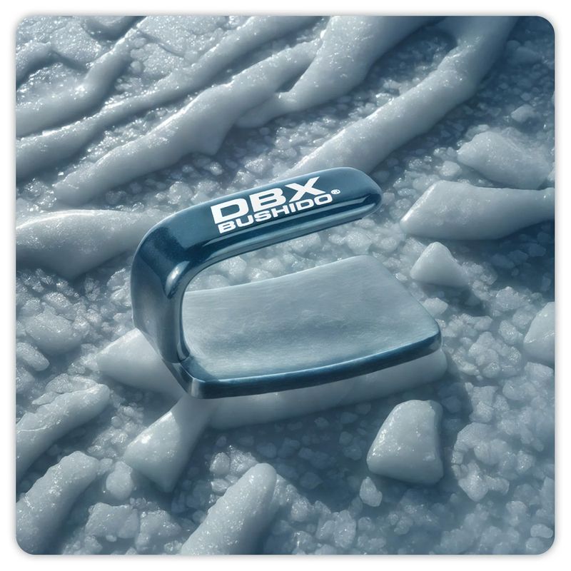 Боксьорско желязо DBX BUSHIDO Ferro black/silver 7