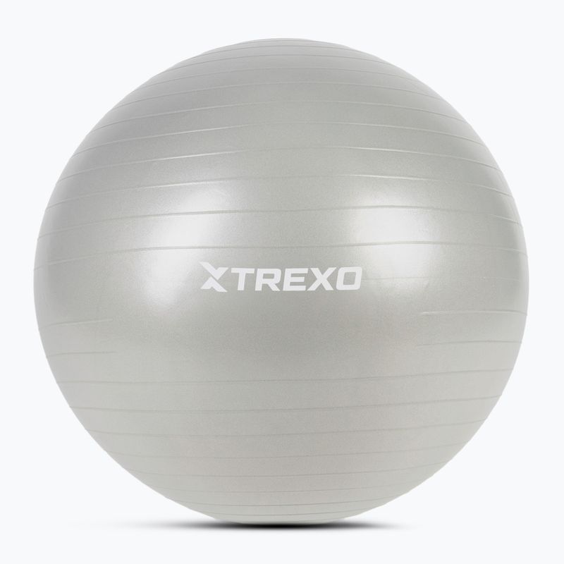 Гимнастическа топка TREXO TXO-B4Z009-GY 75 cm grey