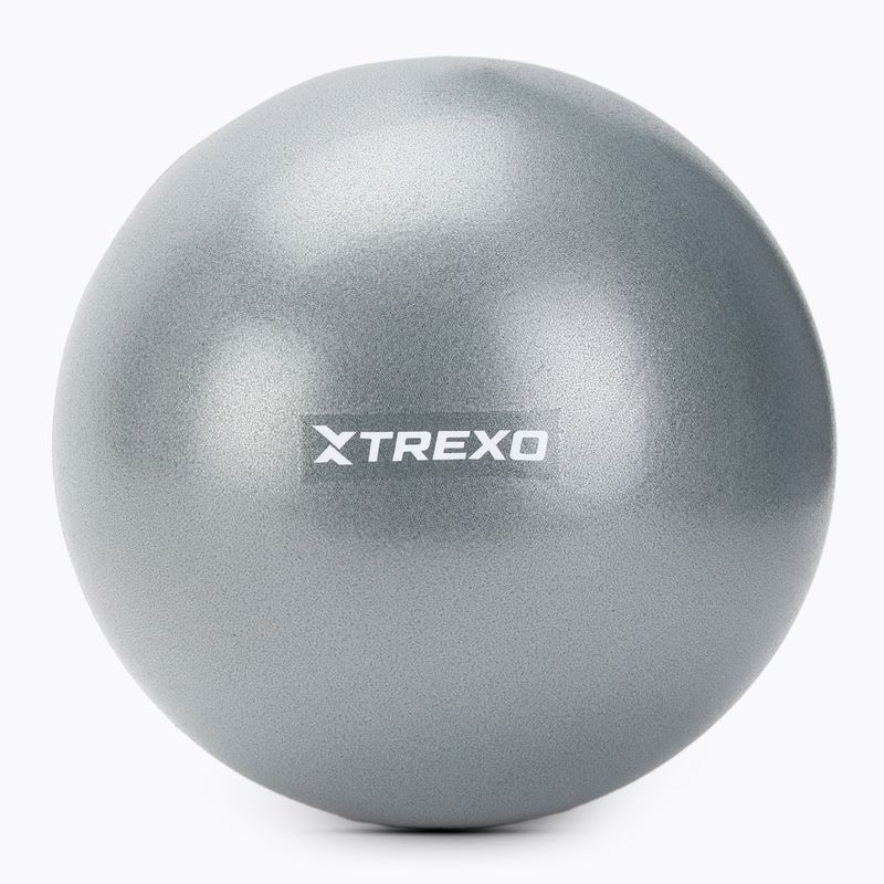 Мини гимнастическа топка TREXO TXO-B4Z010-GY 20 cm grey