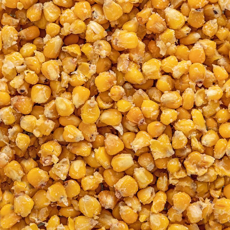 Царевица за риболов Carp Target pineapple + кофа 10 l 5