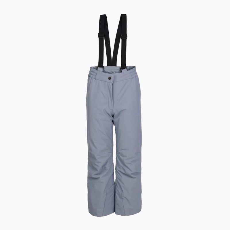 Детски скиорски панталони 4F Fnk F0948 grey 3