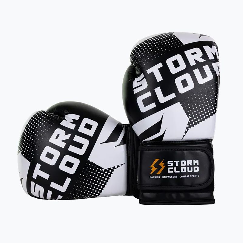 Боксьорски ръкавици StormCloud Bolt 3.0 black/white 3