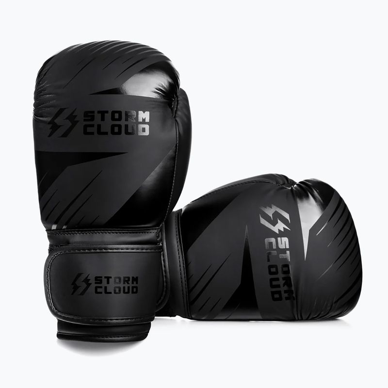 Боксови ръкавици StormCloud Lynx 2.0 black/black 3