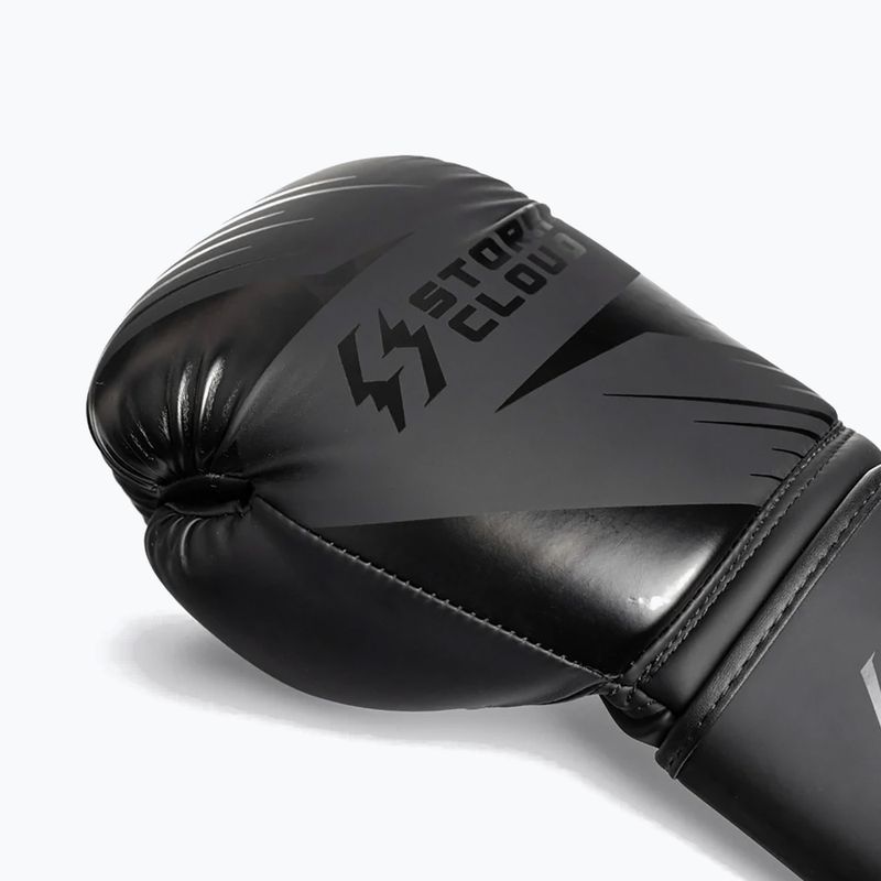 Боксови ръкавици StormCloud Lynx 2.0 black/black 6