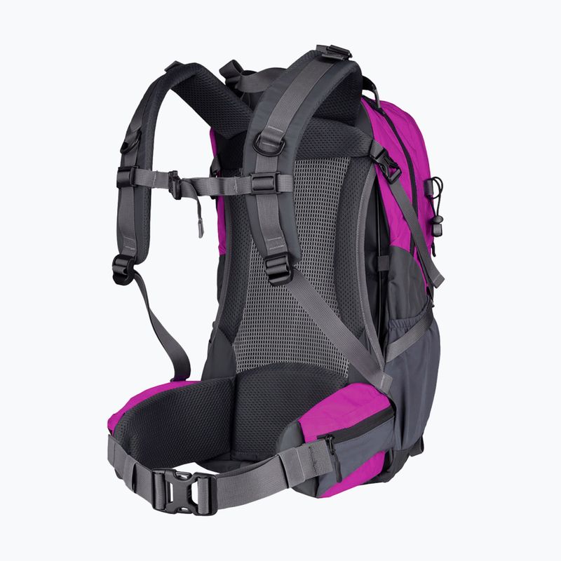 Туристическа раница Alpinus Tarfala 35 l fuchsia 2