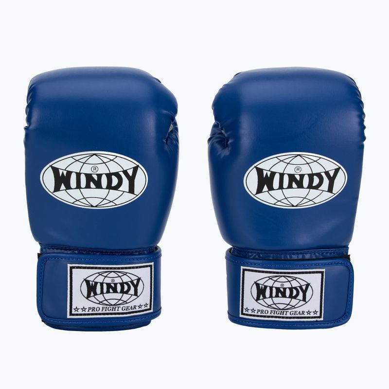WINDY Classic Синтетична кожа сини боксови ръкавици 2