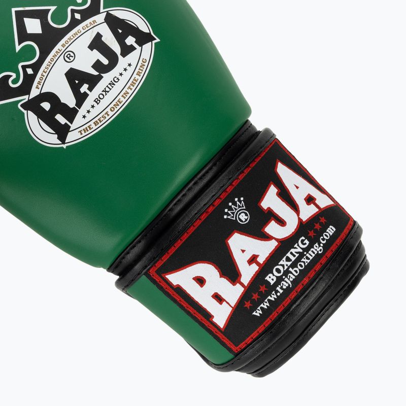 Боксови ръкавици RAJA BOXING Single Semi Leather green 6