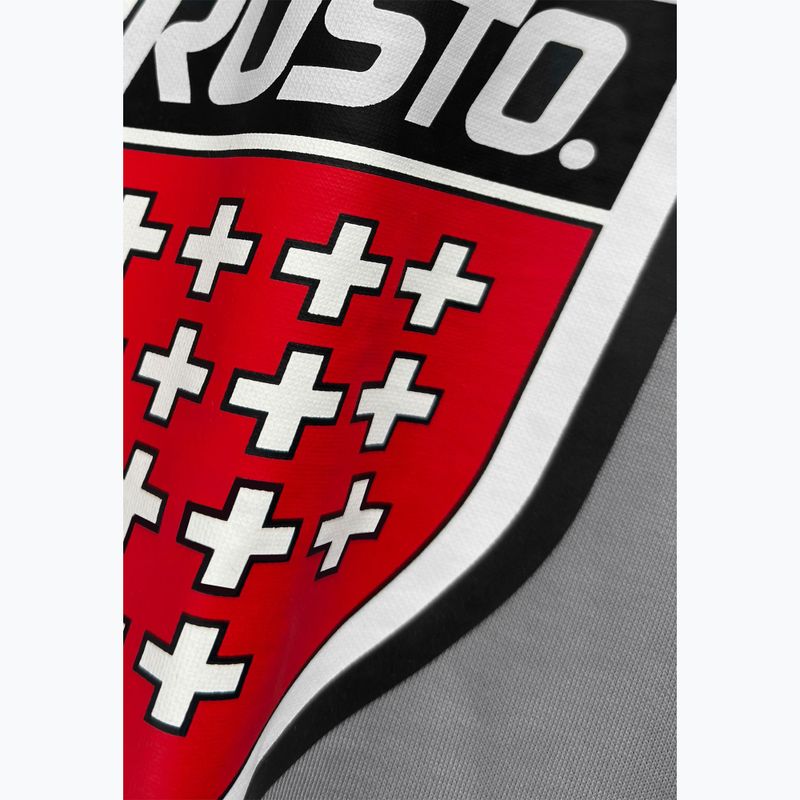 Мъжки суитшърт PROSTO Big Shield Crewneck gray 3