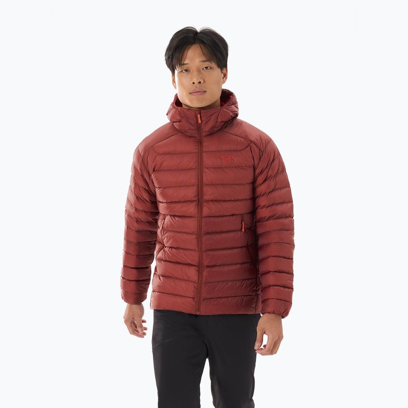 Мъжко пухено яке Arc'teryx Cerium Hoody sequoia/ solaris