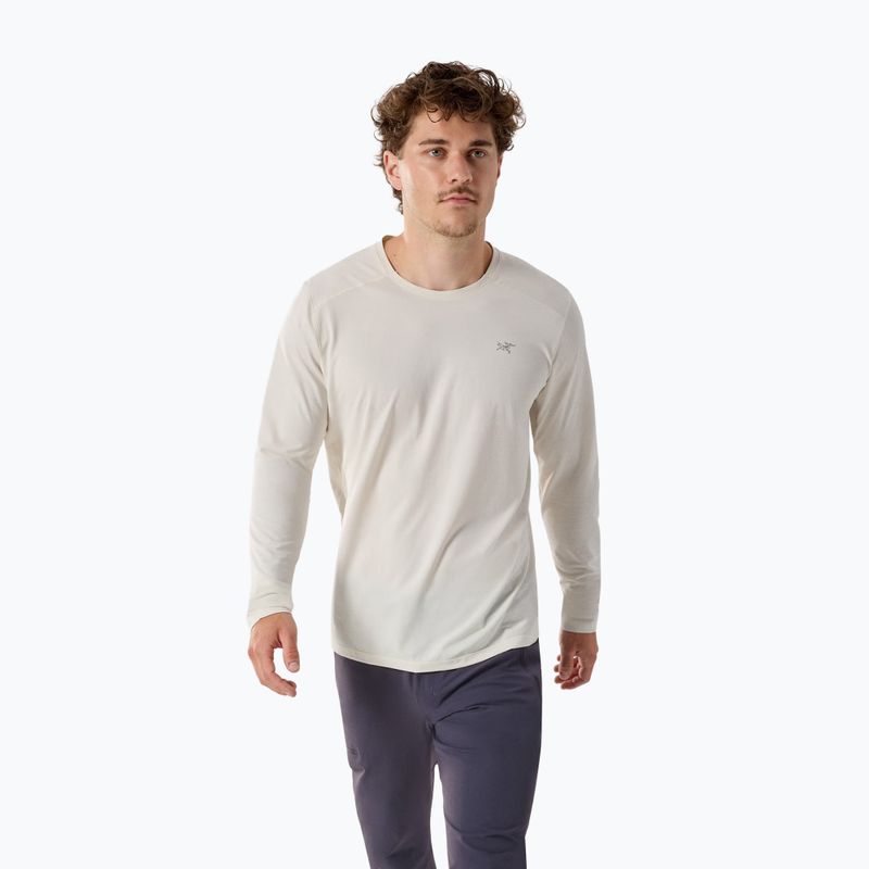 Мъжки трекинг лонгслив Arc'teryx Cormac Crew arctic silk heather