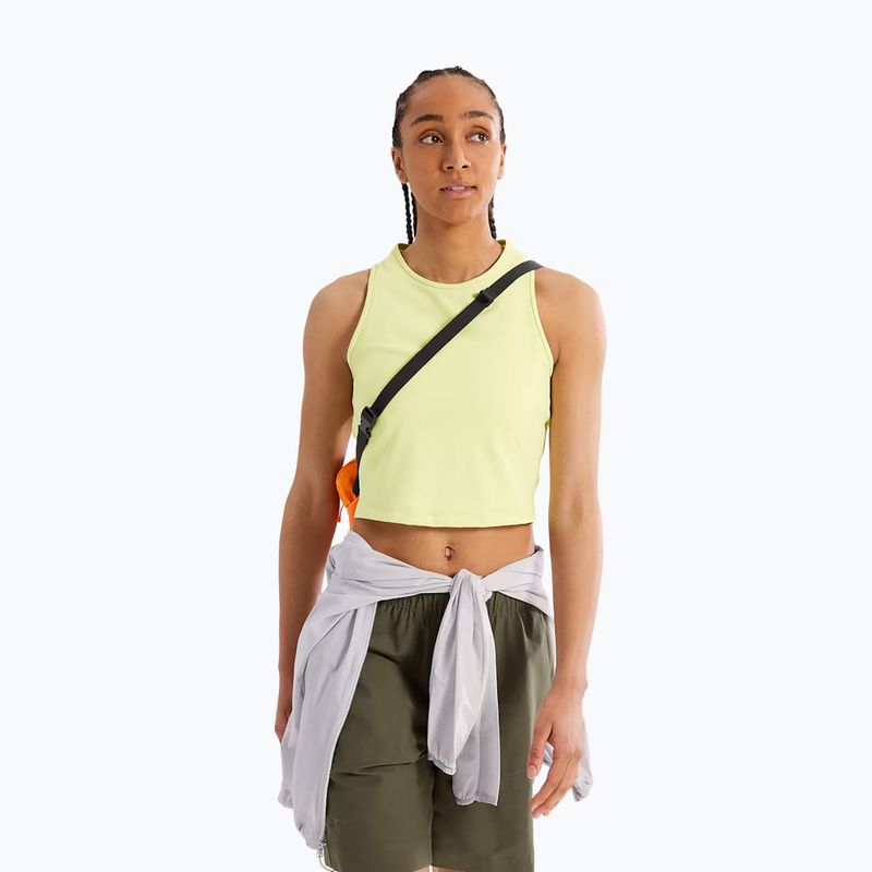 Arc'teryx Mantis 2 2.5 l verve саше 6