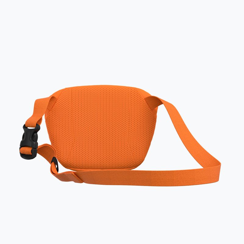 Arc'teryx Mantis 1 1.5 l verve саше 3