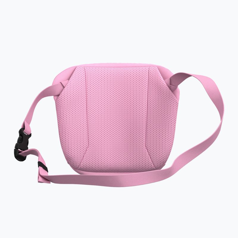 Чантичка Arc'teryx Mantis 2 2,5 and pineberry 3