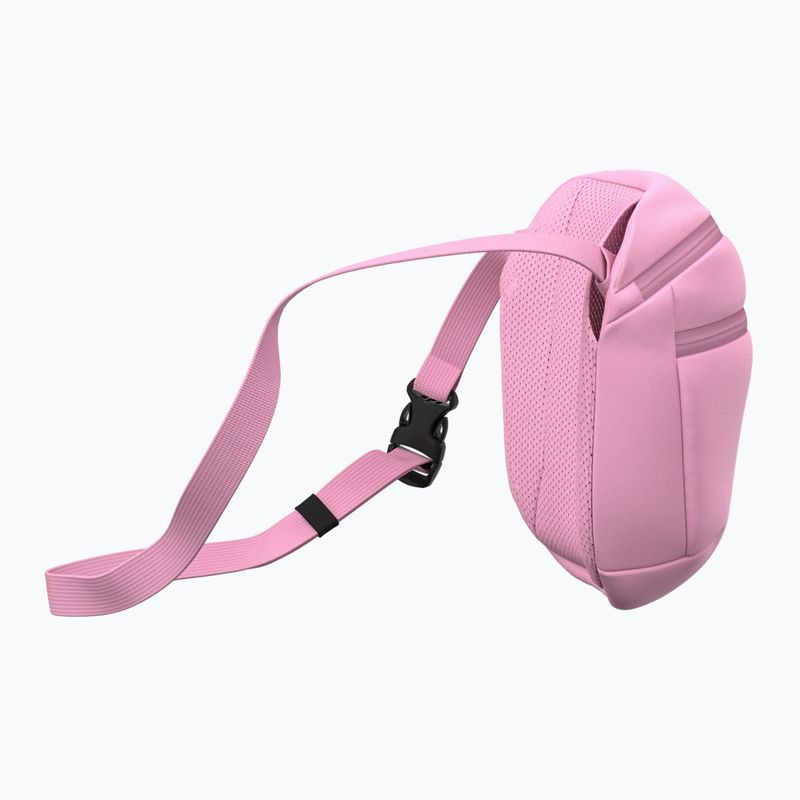 Чантичка Arcteryx Mantis 2 2,5 and pineberry 4