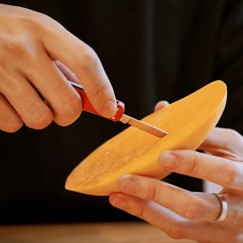 Мултифункционален инструмент Nextool Mini Pocket Knife red 5