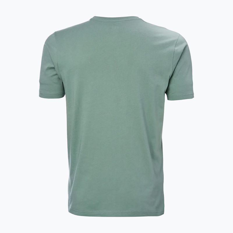 Мъжка тениска Helly Hansen HH Logo cactus 5