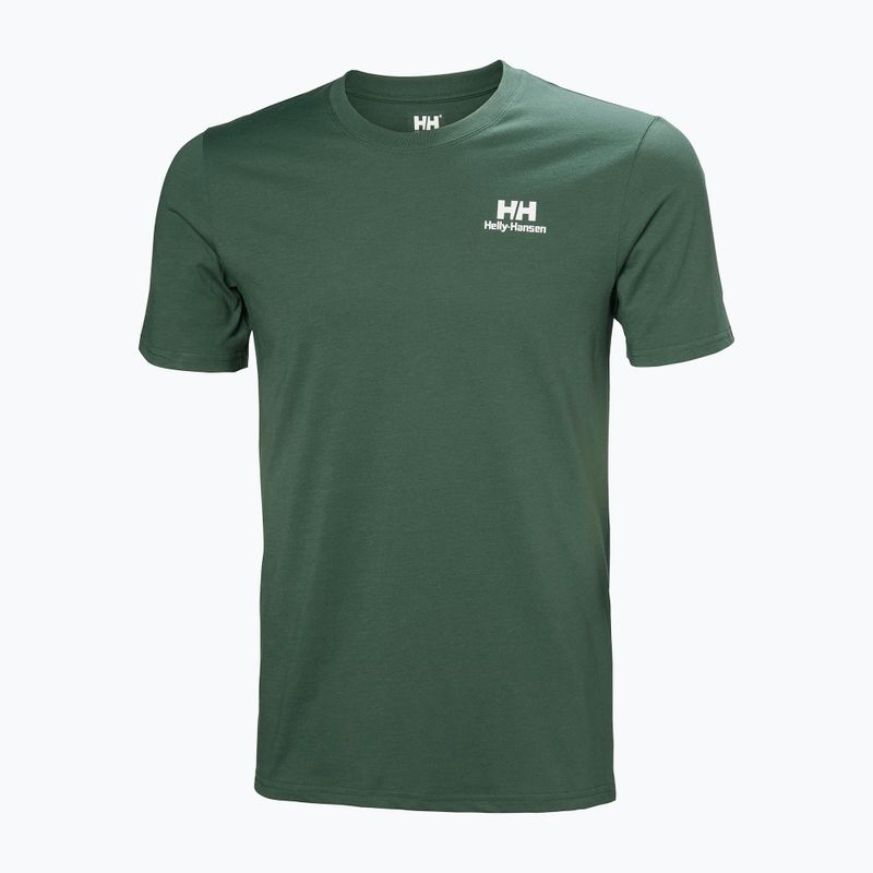 Мъжка тениска Helly Hansen Nord Graphic T jungle green 4