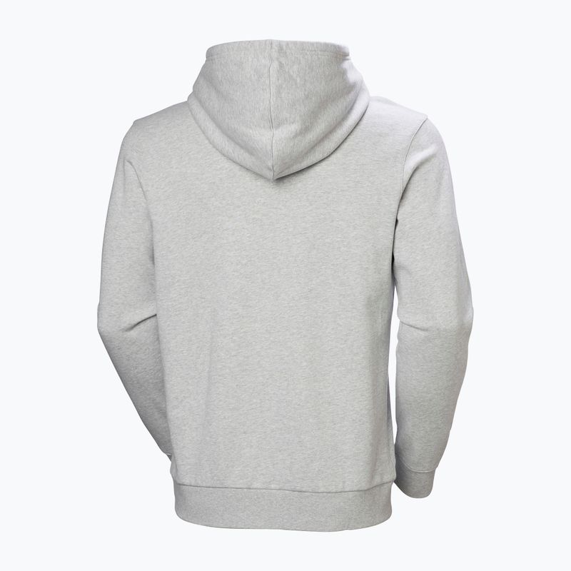 Мъжки суитшърт Helly Hansen HH Logo Hoodie grey/melange 6