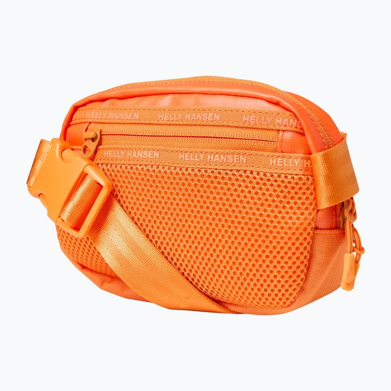 Чантичка за кръстна Helly Hansen Guide resort tangerine. 2