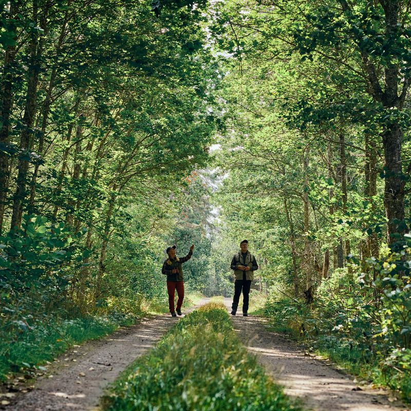 Мъжки панталони за трекинг Pinewood Caribou TC Extreme moss green/black 6