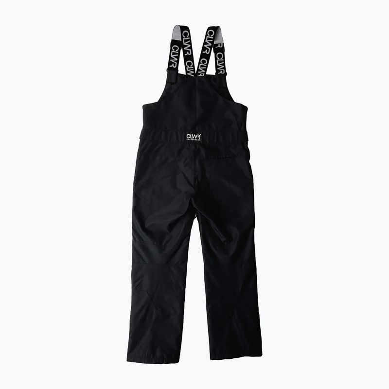 Мъжки панталони за сноуборд Colourwear Slash Bib black 11