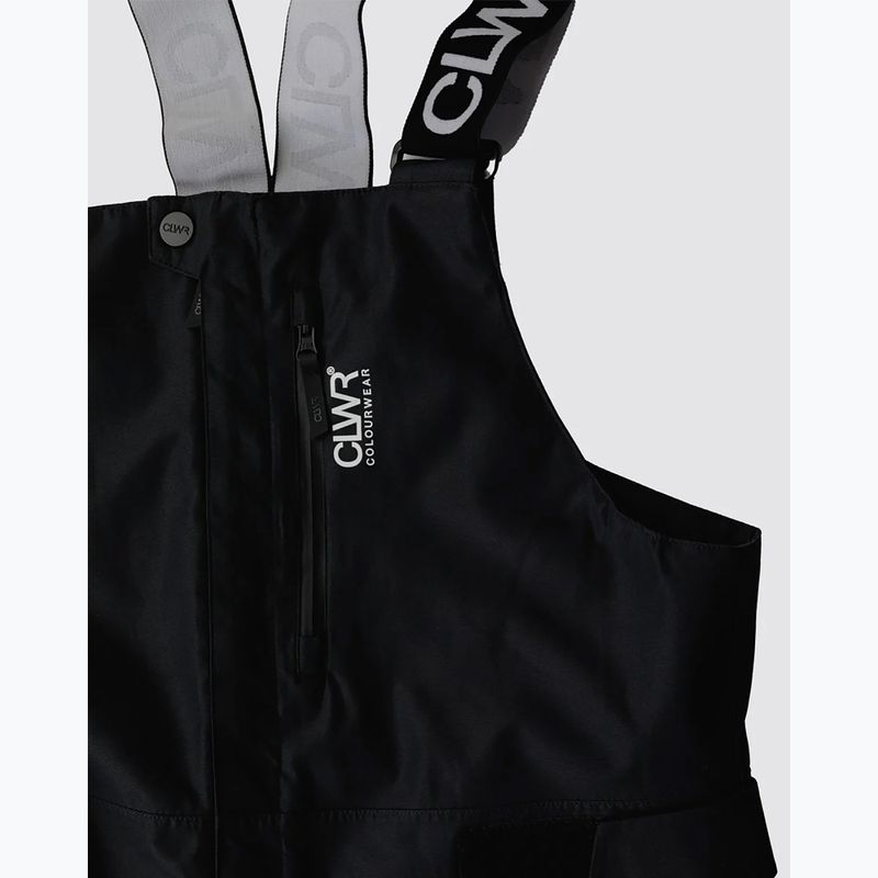 Мъжки панталони за сноуборд Colourwear Slash Bib black 12